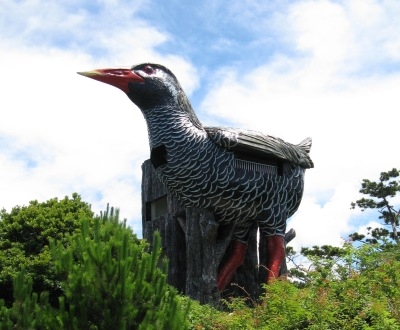 ♪♪ 辺戸岬のヤンバルクイナ展望台下で キャンプ ♪♪