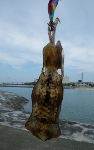 ★★ 暇つぶしに行ったのにまさか… ★★