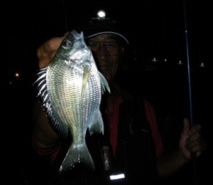 ♪♪ 夏場の夜釣りは最高ですね ♪♪