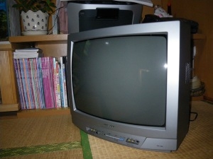 ★★ テレビ無しでは 生活が出来ない? ★★