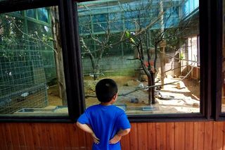 大きな心の、ミニミニ動物園