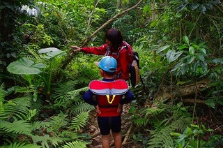 西表島の一日　～ジャングル探検～