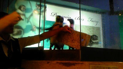 ペンギン☆