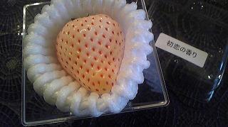 休日の過ごし方☆