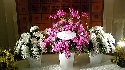 明日は・・☆