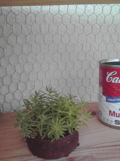 ** garden 棚 **