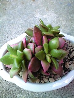 おはよう~