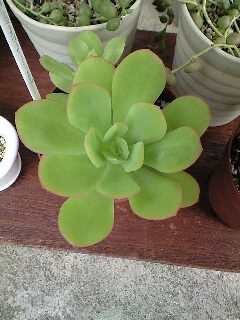おはよう^^/