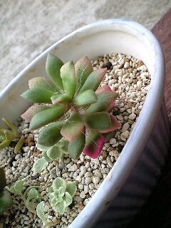 おはよう^^/