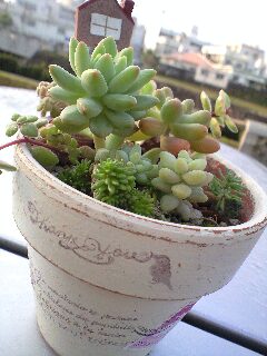 晴れたらいいのに