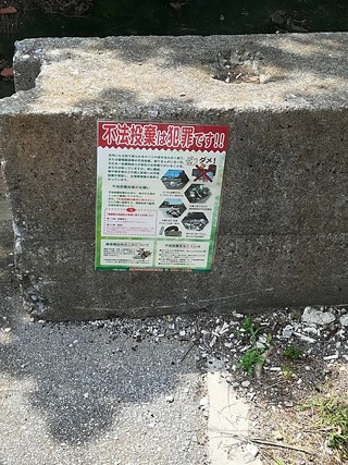 沖縄桜會　糸満市海岸清掃