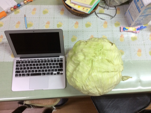 でかいよ!コレ でかいよ!コレ