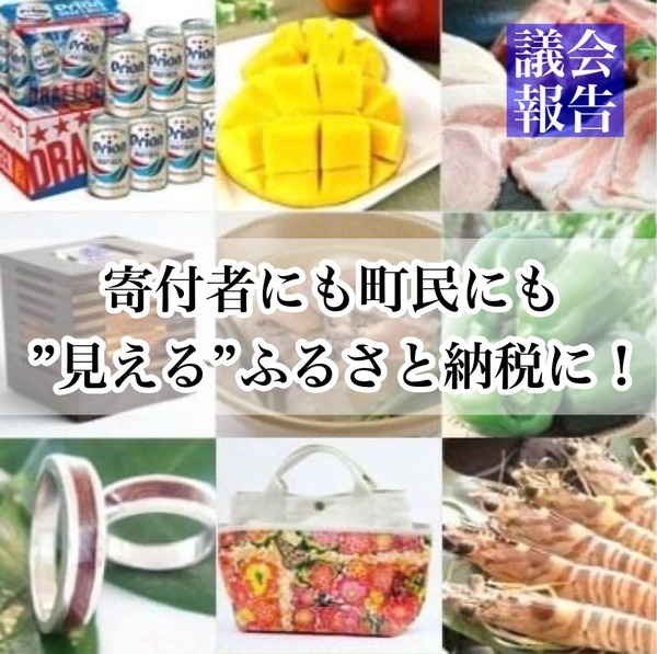 寄付者にも町民にも”見える”ふるさと納税に!/議会報告 寄付者にも町民にも”見える”ふるさと納税に!/議会報告