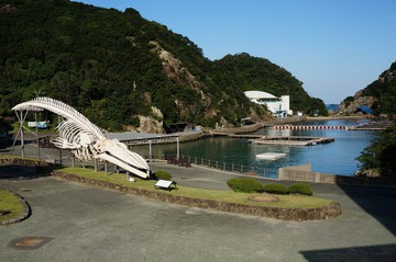 自然保護から環境保護―海洋編 自然保護から環境保護―海洋編