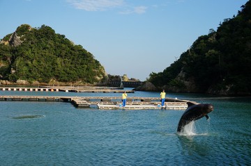自然保護から環境保護―海洋編 自然保護から環境保護―海洋編