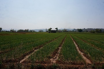 少数民族の守り継ぐ環境 少数民族の守り継ぐ環境