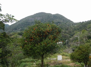 地球を守るための生活 地球を守るための生活