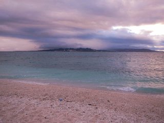 運命の島 運命の島