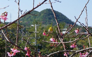 地球を守るための生活 地球を守るための生活