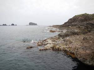飛島の島おこしと観光計画