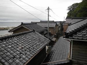 暖流と寒流のクロスロード