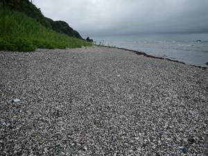 暖流と寒流のクロスロード