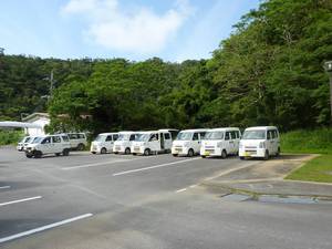 やんばるの森の声