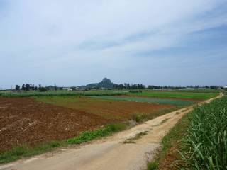 運命の島 運命の島