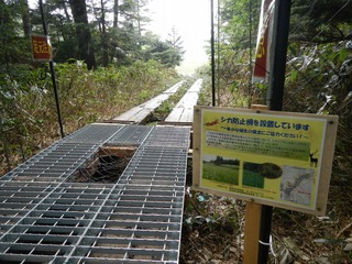 金で買う環境 金で買う環境