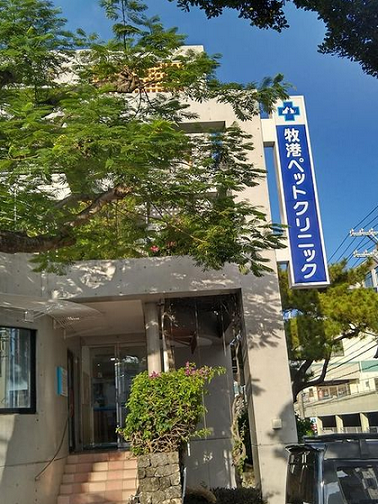 ドッグドック ドッグドック
