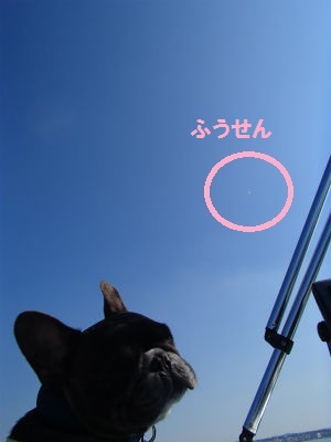 あ~あっ あ~あっ