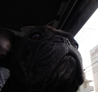 さんぽ