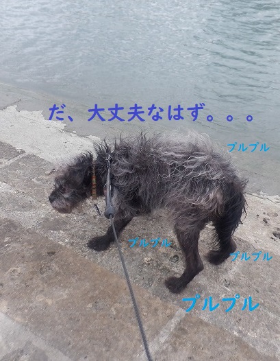 ほんまは。。。 ほんまは。。。