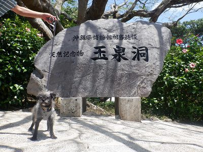 おきなわワールド おきなわワールド