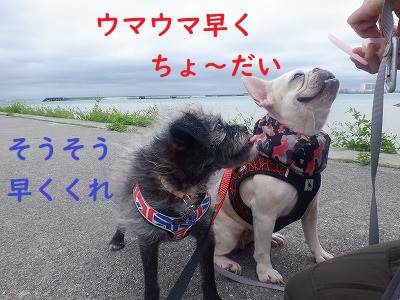 海散歩 海散歩