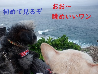 喜屋武岬 喜屋武岬