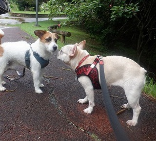 またまた 末吉公園 またまた 末吉公園