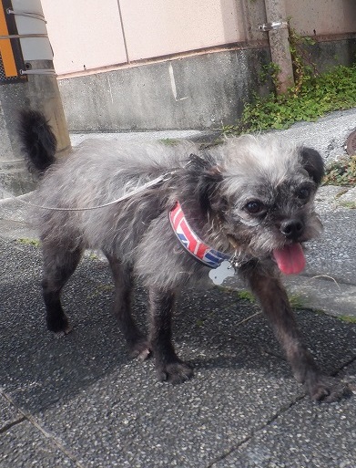 今日も ズリズリ 今日も ズリズリ