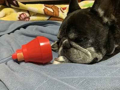 酸素レンタル延長 酸素レンタル延長
