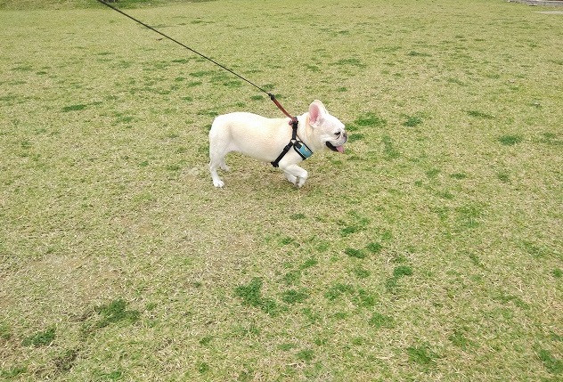 もう、2月・・・はやっ もう、2月・・・はやっ