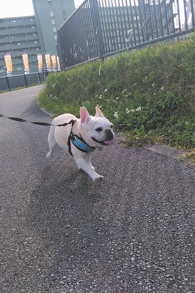 ここ好きみたい (^-^) ここ好きみたい (^-^)
