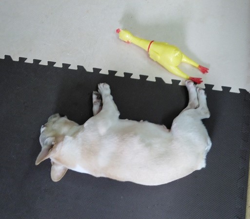 充電中 充電中