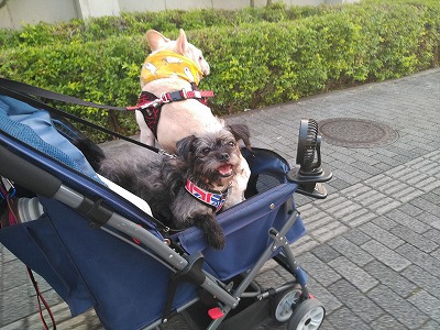 らいむカートで、GO~っ らいむカートで、GO~っ