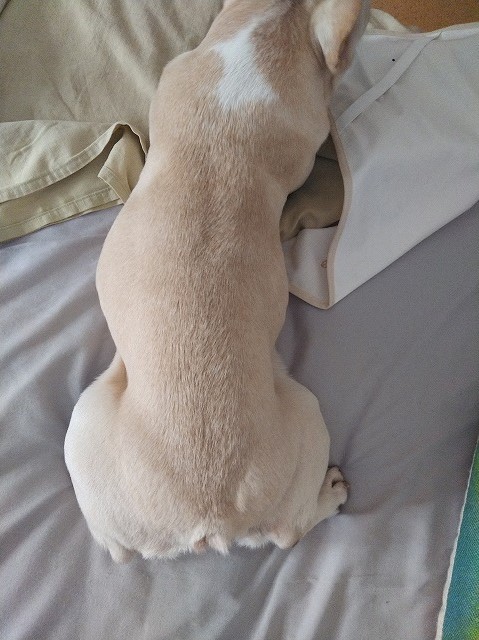 そんだけ (^^) そんだけ (^^)