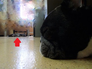 あぢぃ~~~~~ あぢぃ~~~~~