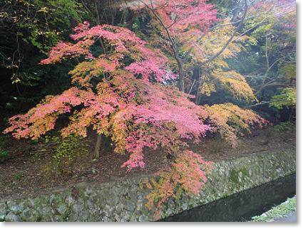 京都旅行記 ~3日目~