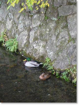 京都旅行記 ~3日目~