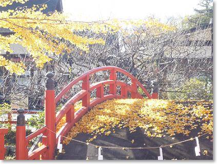 京都旅行記 ~3日目~