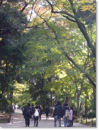 京都旅行記 ~3日目~