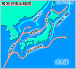 黒潮で結ばれる石のデザイン